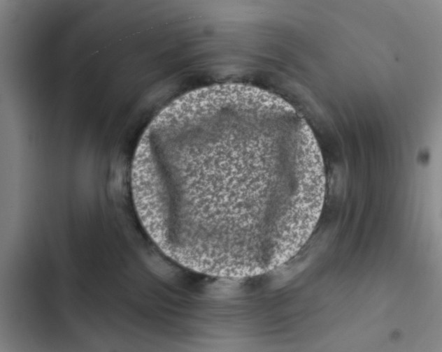 X0000102830138200809151049