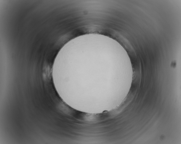 X0000102830142200809151049
