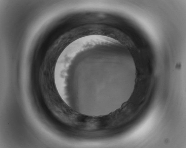 X0000102830143200809151049