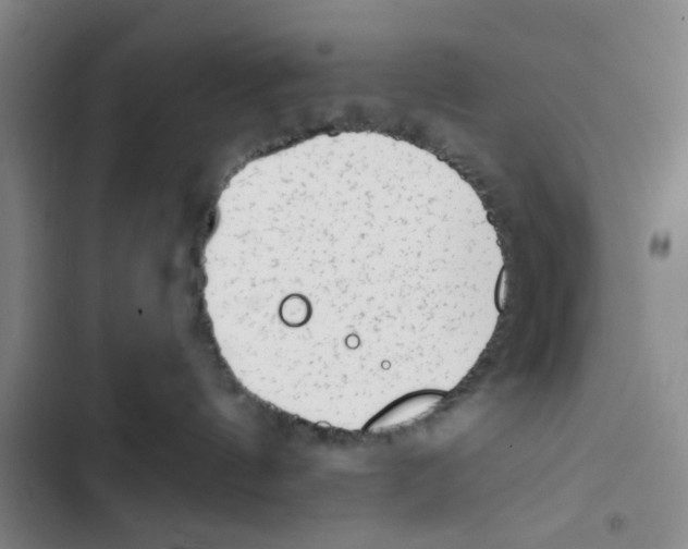 X0000102830144200809151049
