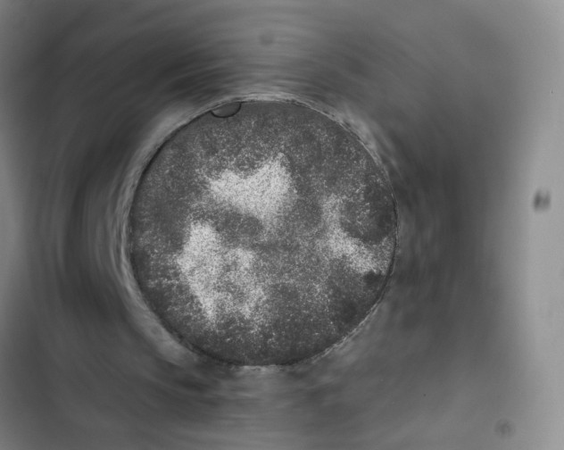 X0000102830145200809151048