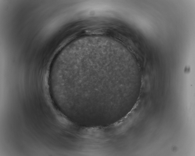 X0000102830146200809151048
