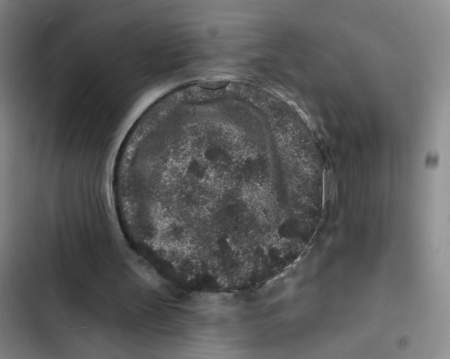 X0000102830147200809151048