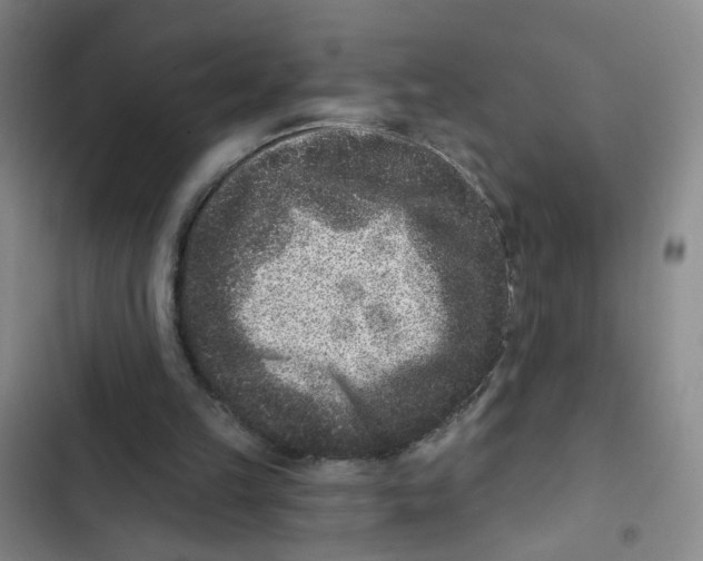 X0000102830149200809151048