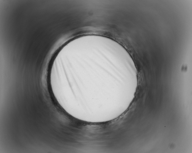 X0000102830150200809151048