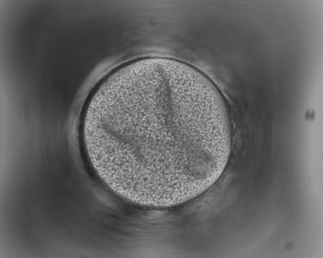 X0000102830151200809151048