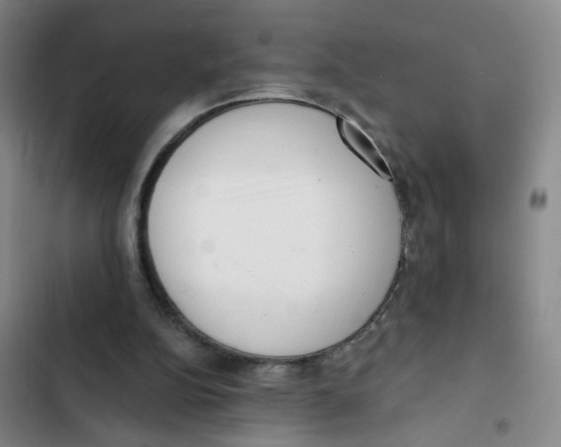 X0000102830152200809151048
