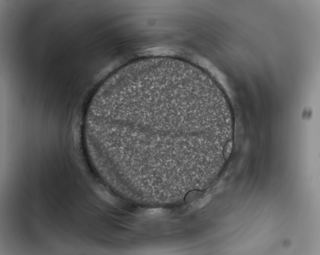 X0000102830153200809151048