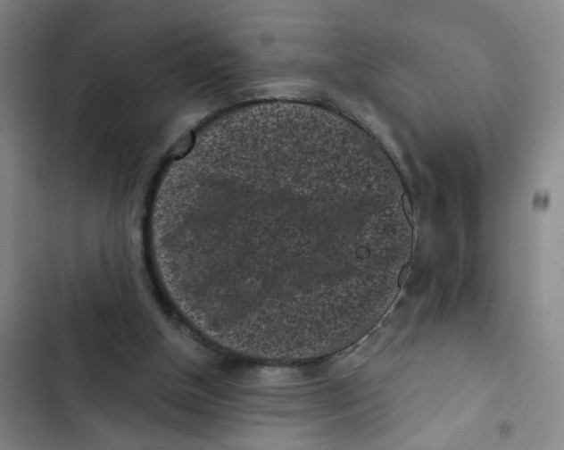X0000102830154200809151048