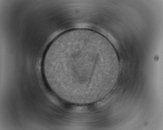 X0000102830155200809151048