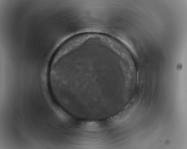 X0000102830156200809151048