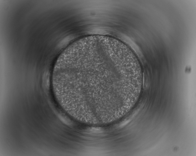 X0000102830157200809151048