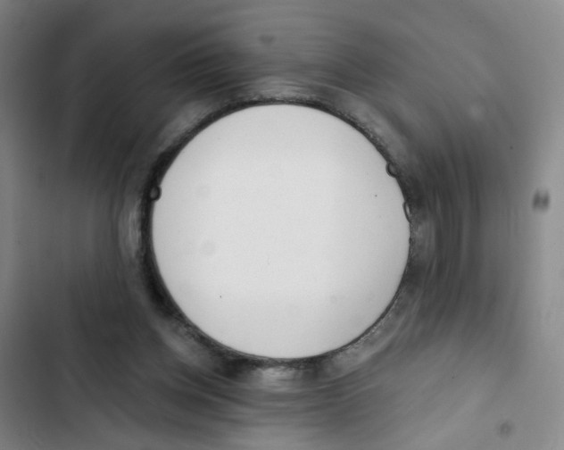 X0000102830158200809151048