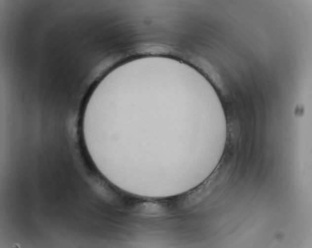 X0000102830159200809151048