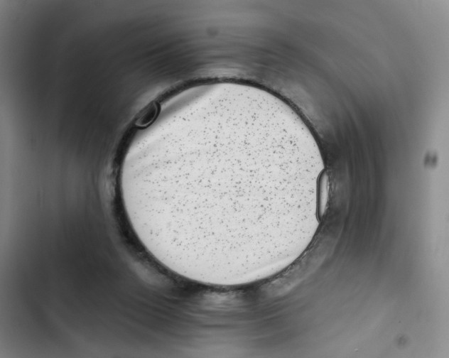 X0000102830160200809151048