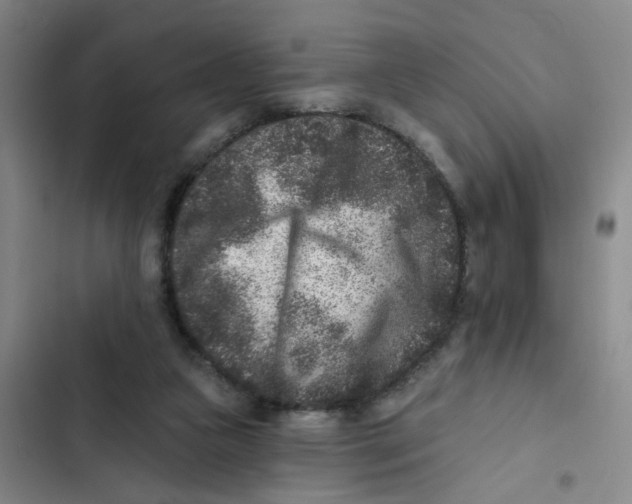 X0000102830161200809151048