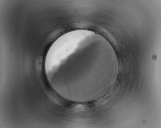 X0000102830163200809151048