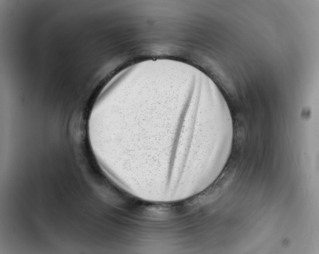 X0000102830164200809151048