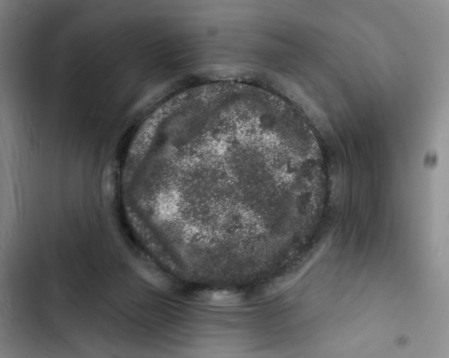 X0000102830165200809151048
