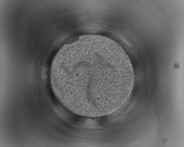 X0000102830166200809151048