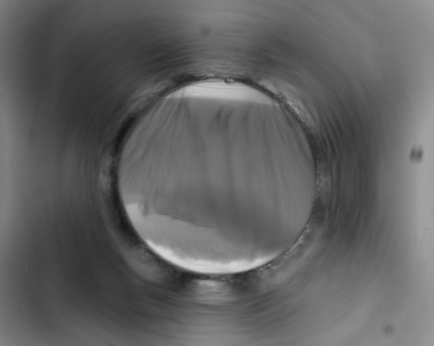 X0000102830167200809151048