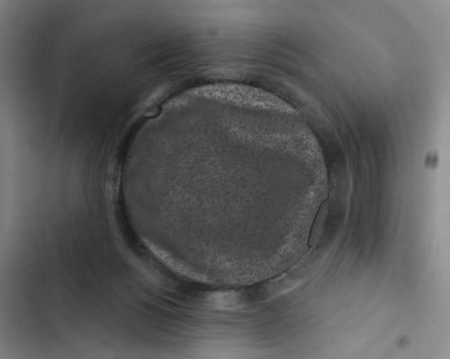 X0000102830168200809151048