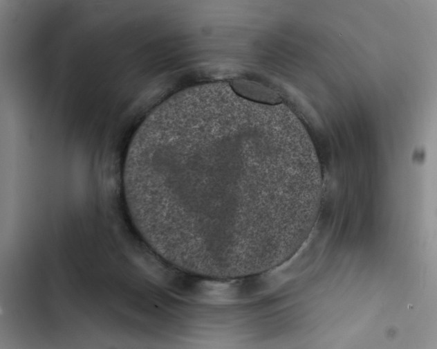 X0000102830170200809151048