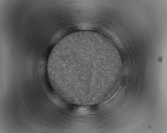 X0000102830171200809151048