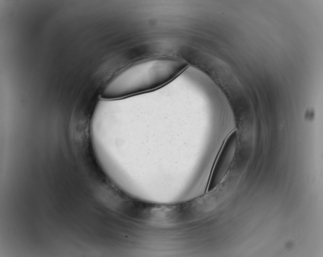 X0000102830172200809151048