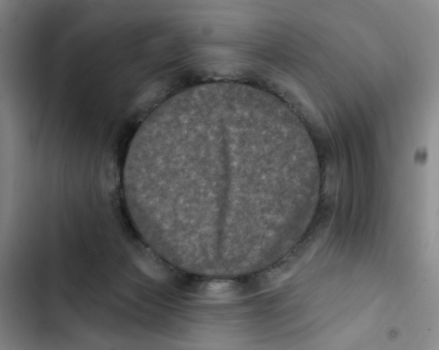 X0000102830173200809151048