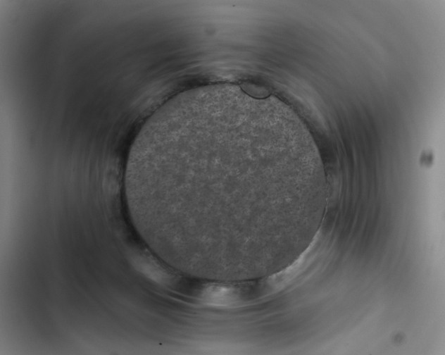 X0000102830174200809151048