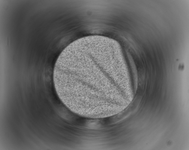 X0000102830175200809151048