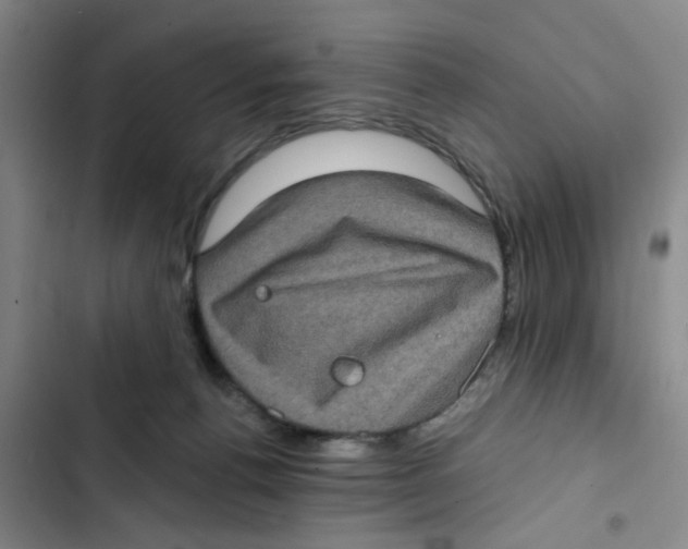 X0000102830176200809151048