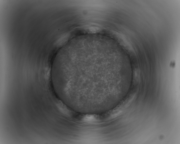 X0000102830177200809151048