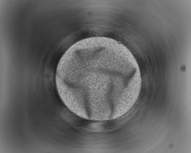 X0000102830178200809151048