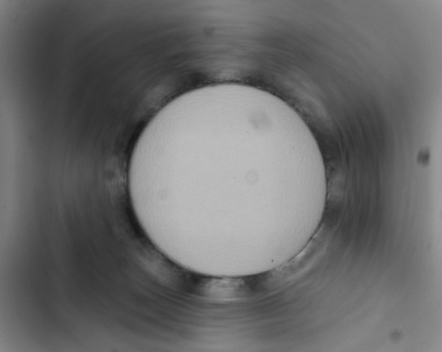 X0000102830179200809151048