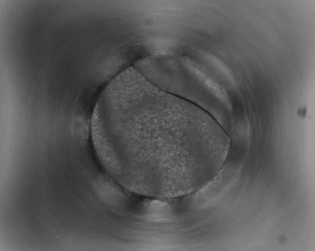 X0000102830180200809151048