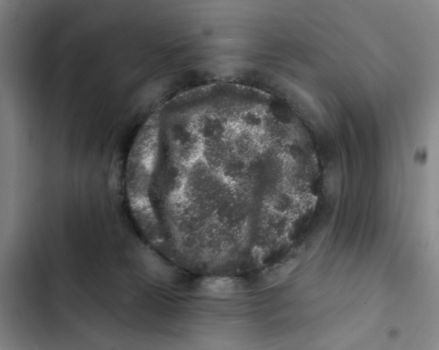 X0000102830181200809151048