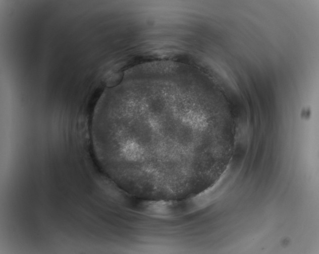 X0000102830182200809151048