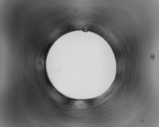 X0000102830183200809151048