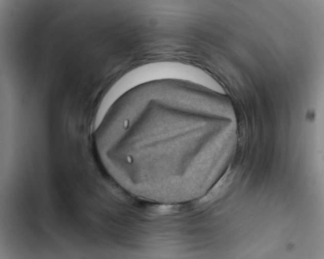 X0000102830184200809151048