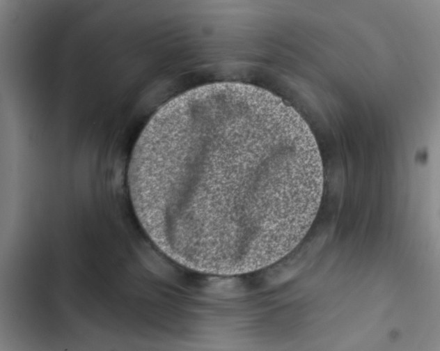 X0000102830185200809151048