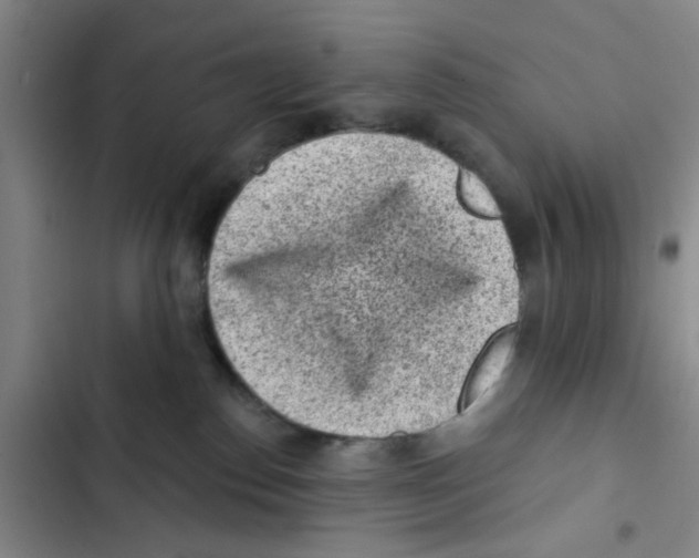 X0000102830186200809151048