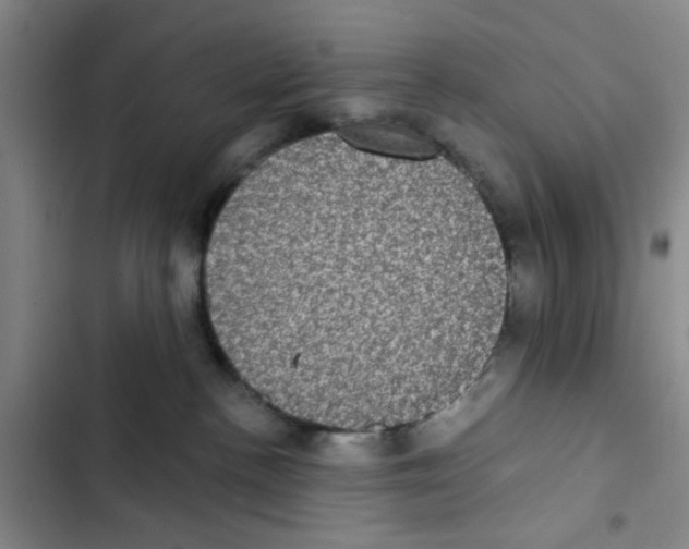 X0000102830188200809151049