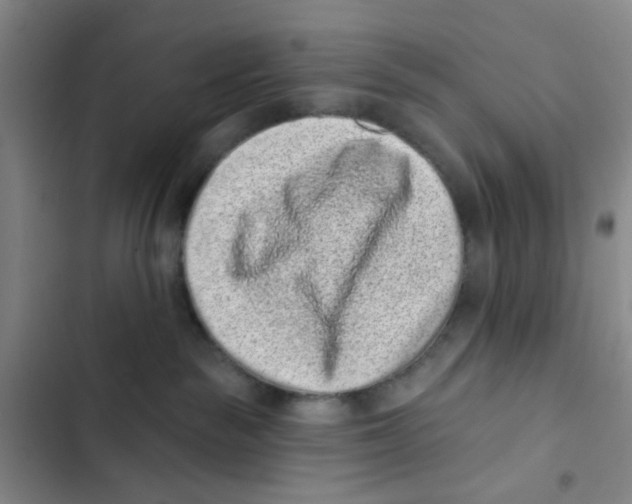 X0000102830189200809151049