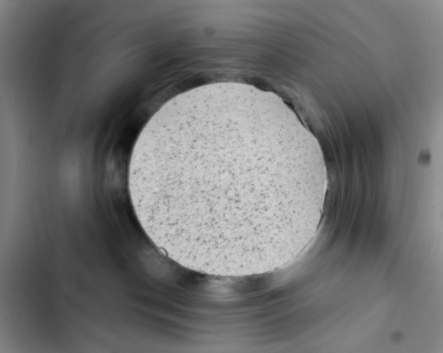 X0000102830190200809151049