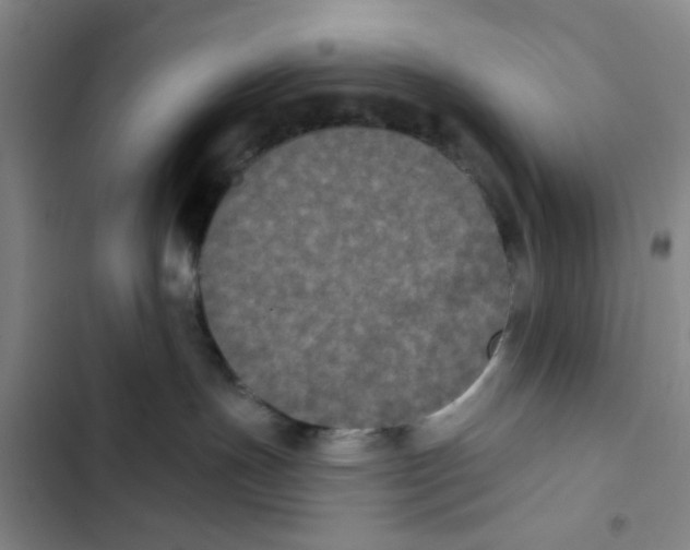 X0000102830191200809151049