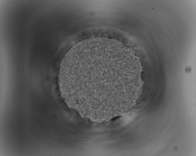 X0000102830192200809151049