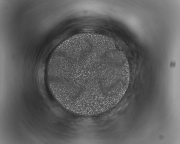X0000102830194200809151048