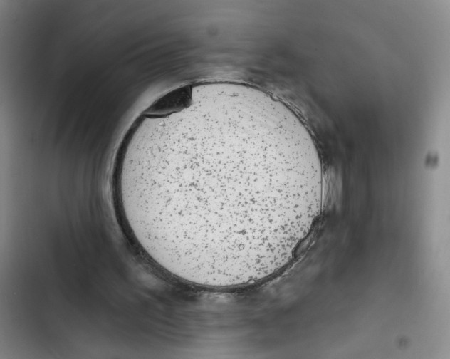 X0000102830195200809151048